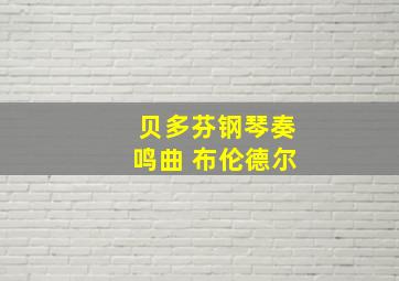 贝多芬钢琴奏鸣曲 布伦德尔